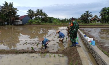Babinsa Buniasih Dukung Ketahanan Pangan di Desa Citapen