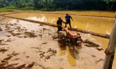 Koramil 2209/Lengkong Laksanakan Pendampingan Ketahanan Pangan di Desa Cilangkap