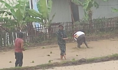 Koramil 2212/Tegalbuleud Melaksanakan Pendampingan Ketahanan Pangan