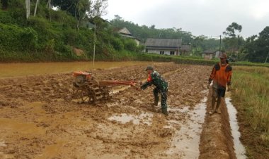 Babinsa Koramil 2209/Lengkong Dukung Ketahanan Pangan di Desa Tegallega