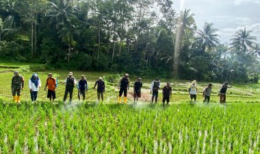 Babinsa Desa Sukaluyu Bersama Forkopimcam Kalibunder Dampingi Kelompok Tani  Wujudkan Ketahanan Pangan