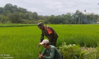 Koramil 2211/Sagaranten Melaksanakan Pendampingan Ketahanan Pangan