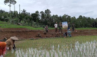 Koramil 0622-01/Cisolok Dukung Peningkatan Pertanian di Sukabumi