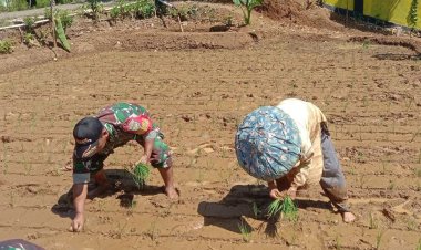 Koramil 0622-05/Kalapanunggal Laksanakan Pendampingan Ketahanan Pangan