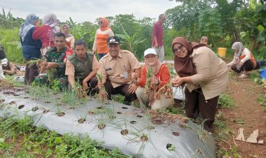 Danramil 06-02/Bogor Selatan Kapten Inf Sunari Bersama Forkopimcam Laksanakan Program Ketahanan Pangan