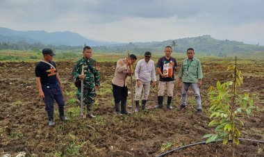 Babinsa Koramil 2207/Jampang Tengah Ikuti Penanaman Jagung Serentak 1 Juta Hektar Polsek Jampang Tengah