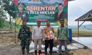 Penanaman Jagung Serentak 1 Juta Hektar di Jampangtengah: Kolaborasi untuk Ketahanan Pangan