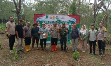 Danposramil Purabaya Koramil 2207/Jampang Tengah Hadiri Penanaman Jagung Serentak 1 Juta Hektar