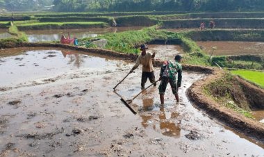 Babinsa Koramil 2205/Kalapanunggal Dorong Ketahanan Pangan Melalui Pendampingan Poktan