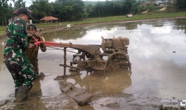 Babinsa Koramil 2210/Pabuaran Monitoring Ketahanan Pangan di Desa Cibadak