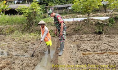 Babinsa Koramil 2201/Cisolok Lakukan Pendampingan Pertanian di Desa Cikakak