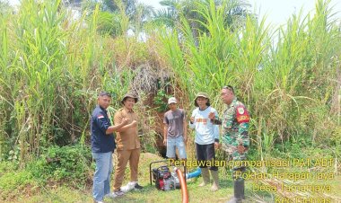 PENDAMPINGAN POMPANISASI OLEH BABINSA KORAMIL 2215/CIEMAS DI DESA TAMANJAYA