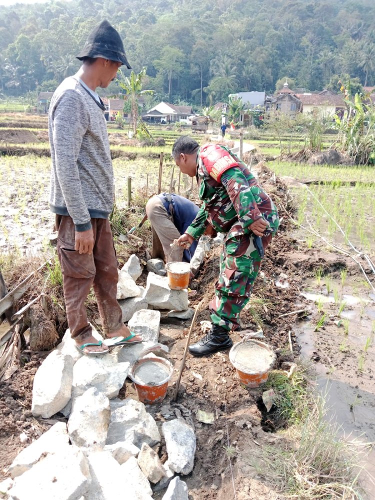 Kopka Tri Gunadi Babinsa Sirnamekar Koramil 2212/Tegalbuleud Melaksanakan Pendampingan ketahanan pangan kepada Poktan di Tipar Desa Sirnamekar
