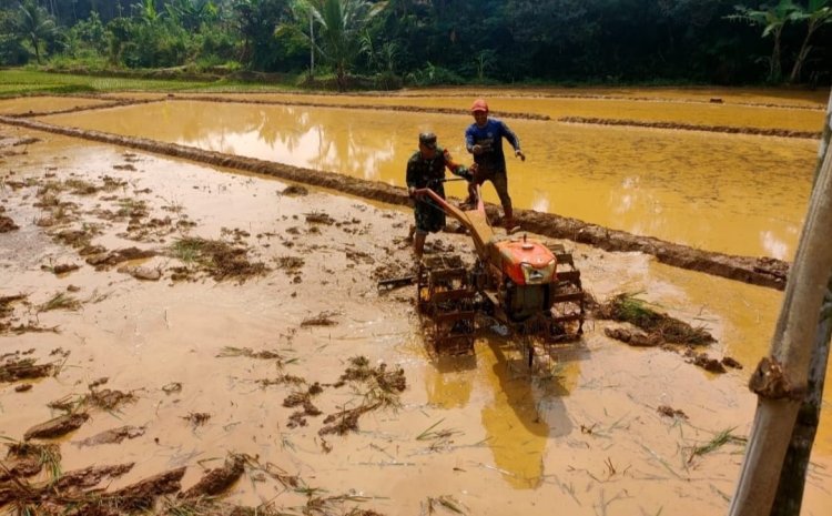 Koramil 2209/Lengkong Laksanakan Pendampingan Ketahanan Pangan di Desa Cilangkap