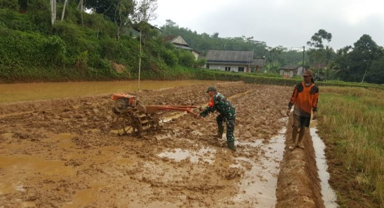 Babinsa Koramil 2209/Lengkong Dukung Ketahanan Pangan di Desa Tegallega