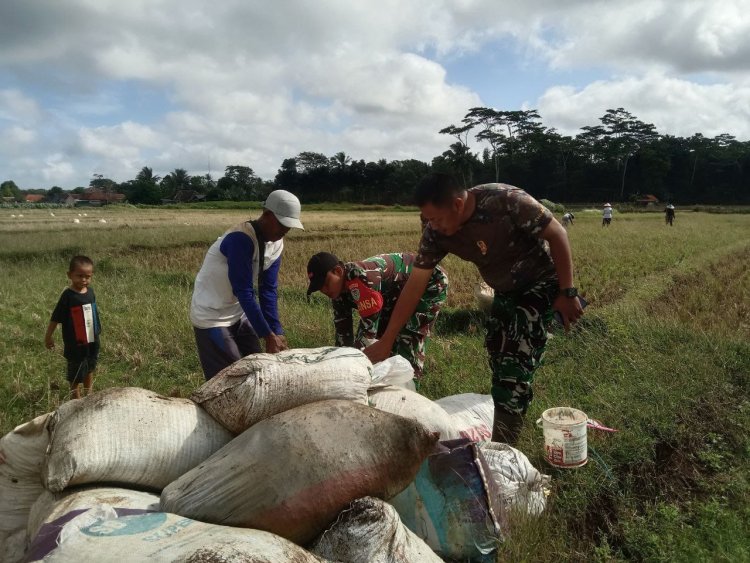 Koramil 2214/Surade Laksanakan Program Ketahanan Pangan