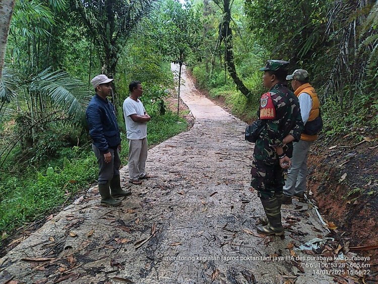 Babinsa Purabaya Serma Agus Marlina Dampingi Monev Pembangunan Jalan Usaha Tani oleh UPTD Pertanian Wilayah 5