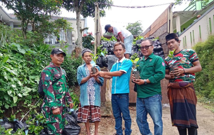 Koramil 2210/Pabuaran Monitoring Bantuan Bibit Kopi di Kecamatan Pabuaran