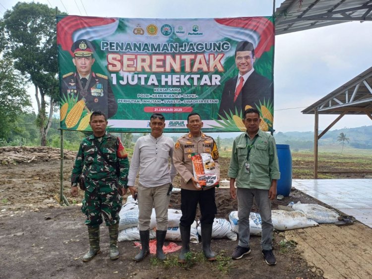 Penanaman Jagung Serentak 1 Juta Hektar di Jampangtengah: Kolaborasi untuk Ketahanan Pangan