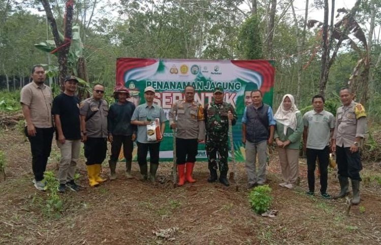 Danposramil Purabaya Koramil 2207/Jampang Tengah Hadiri Penanaman Jagung Serentak 1 Juta Hektar
