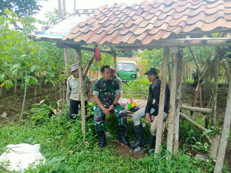 Pendampingan Ketahanan Pangan oleh Serka Supendi Bati Wanwil Koramil 2206/Parakansalak di Desa Bojongasih