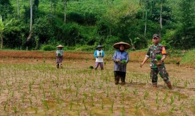 Babinsa Koramil 2209/Lengkong Dampingi Program Ketahanan Pangan di Desa Cilangkap