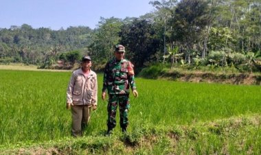 Babinsa Koramil 2209/Lengkong Dampingi Ketahanan Pangan di Desa Neglasari