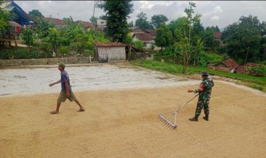 BABINSA KORAMIL 2203/WARUNGKIARA LAKUKAN PENDAMPINGAN HANPANG DI DESA BOJONGGALING