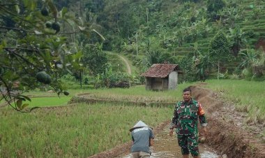 Babinsa Koramil 2204/Cikidang Dampingi Program Ketahanan Pangan di Desa Cikarae Thoyibah
