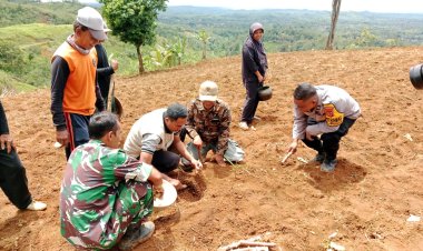 Baninsa Koramil 2213/Jampang Kulon Gelar Aksi Penanaman Pohon di Desa Sukajadi