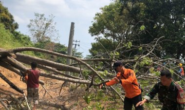 Koramil 2202/Palabuhan Ratu Bersama BPBD Evakuasi Pohon Tumbang di Desa Sangrawayang