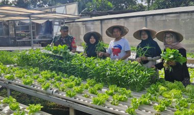 Babinsa Peltu Selamet Hariadi Komsos dengan Kelompok Tani Dewasa (KTD) Barokah, Dukung Ketahanan Pangan
