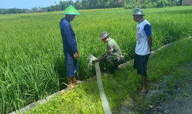 BABINSA KORAMIL 2215/CIEMAS DUKUNG KETAHANAN PANGAN MELALUI POMPANISASI DI DESA CIEMAS