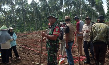 BABINSA KORAMIL 2214/SURADE DUKUNG KETAHANAN PANGAN DI KECAMATAN WALURAN