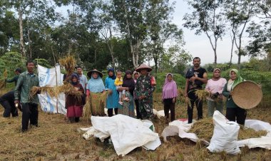 Babinsa Koramil 2214/Surade Laksanakan Kegiatan Hanpangan di Kecamatan Waluran