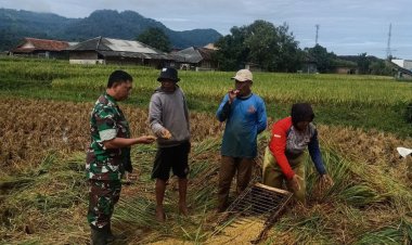 Babinsa Koramil 2208/Nyalindung Laksanakan Pendampingan Ketahanan Pangan