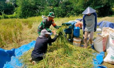 Babinsa Koramil 2209/Lengkong Laksanakan Pendampingan Hanpangan di Desa Cilangkap