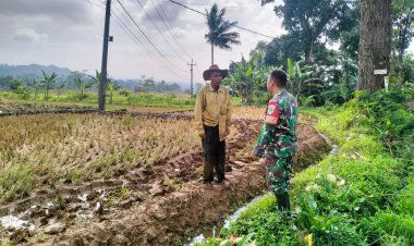 Babinsa Koramil 2206/Parakansalak Laksanakan Pendampingan Ketahanan Pangan di Desa Lebaksari
