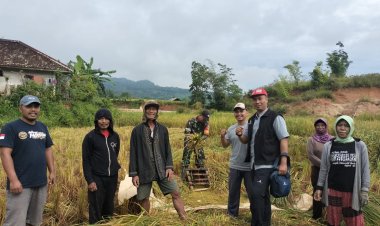 Babinsa Koramil 2210/Pabuaran Dampingi Program Ketahanan Pangan di Desa Cibadak