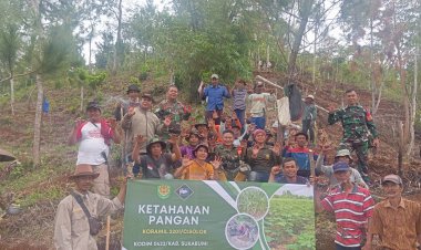 Baninsa Koramil 2201/Cisolok Laksanakan Giat Hanpangan Penanaman Jagung Hibrida di Desa Gunung Kramat