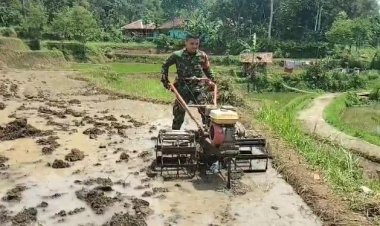 Babinsa BojongTugu Laksanakan Pengecekan Ketahanan Pangan di Dusun Rawabungur