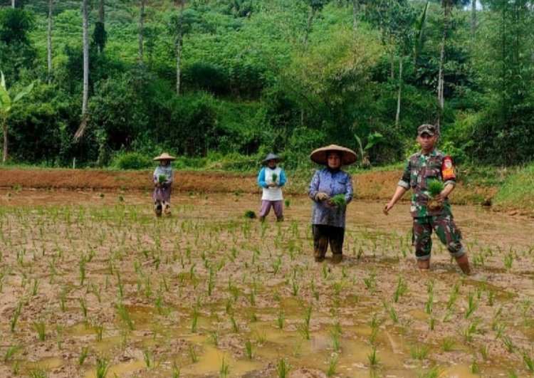 Babinsa Koramil 2209/Lengkong Dampingi Program Ketahanan Pangan di Desa Cilangkap