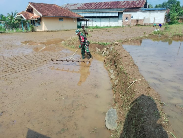 Babinsa Koramil 2206/Parakansalak Dampingi Kelompok Tani dalam Program Ketahanan Pangan