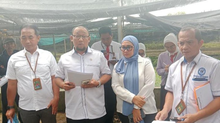 Peninjauan Setempat PTUN Bandung: SHM Nomor Hak Berbeda, NIB Sama, Kok Bisa ?