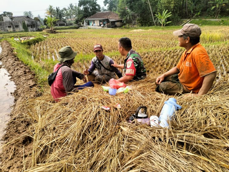 Babinsa Koramil 2206/Parakansalak Dukung Ketahanan Pangan Melalui Pendampingan Kelompok Tani