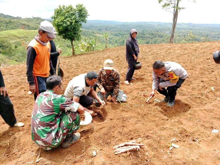 Baninsa Koramil 2213/Jampang Kulon Gelar Aksi Penanaman Pohon di Desa Sukajadi