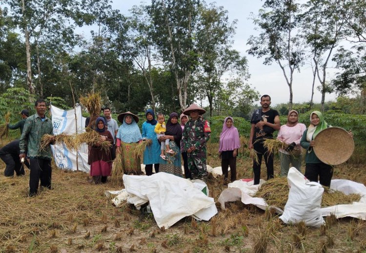 Babinsa Koramil 2214/Surade Laksanakan Kegiatan Hanpangan di Kecamatan Waluran