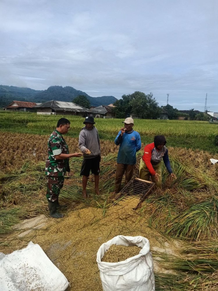 Babinsa Koramil 2208/Nyalindung Laksanakan Pendampingan Ketahanan Pangan