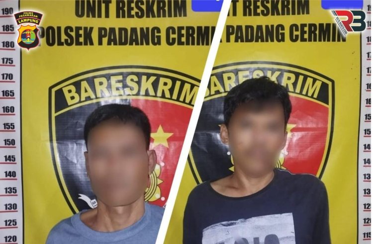 Spesialis Bobol Alfamart Berhasil Diringkus Tekab 308 Polsek Padang Cermin, 3 Buron
