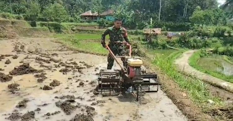 Babinsa BojongTugu Laksanakan Pengecekan Ketahanan Pangan di Dusun Rawabungur